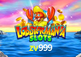 zv999 App Interface
