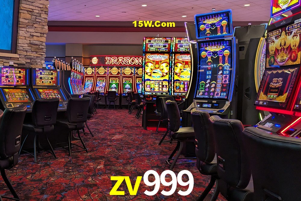 Bonus Features zv999