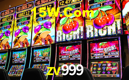 zv999.com